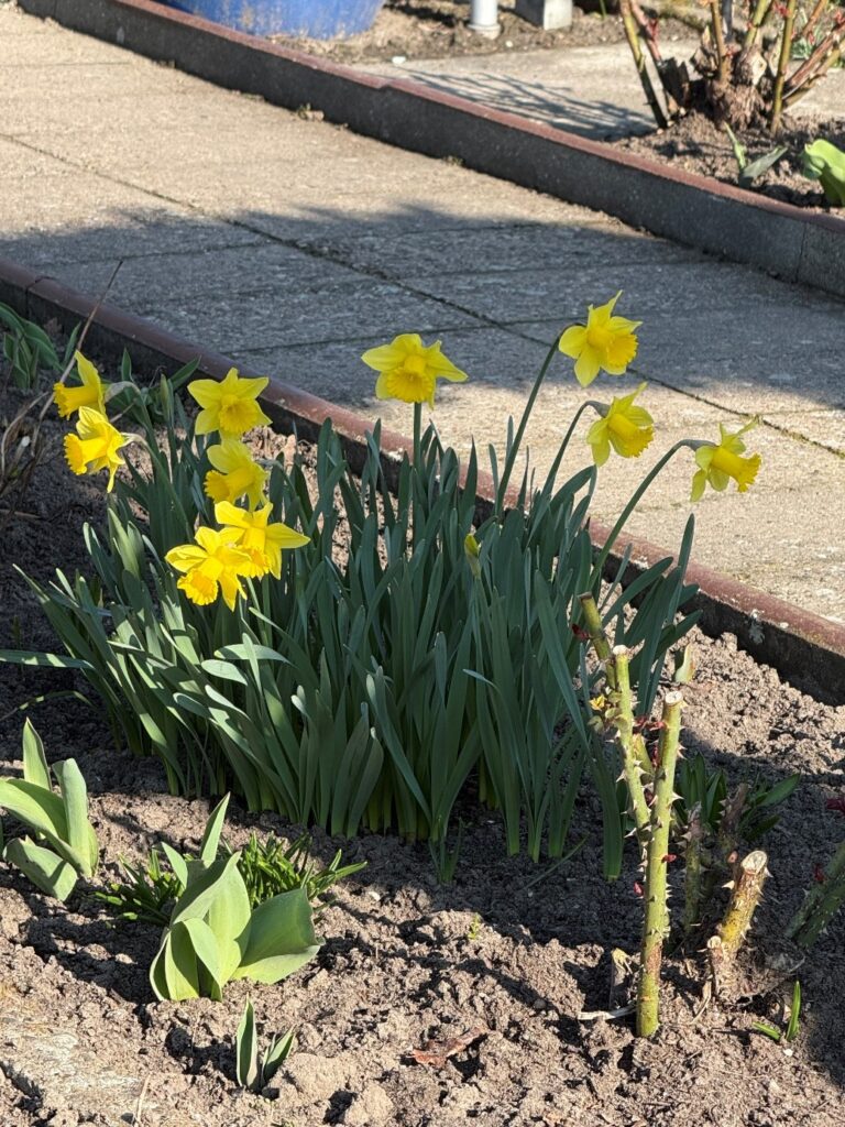 Fuchsklasse   Februar-März 2026