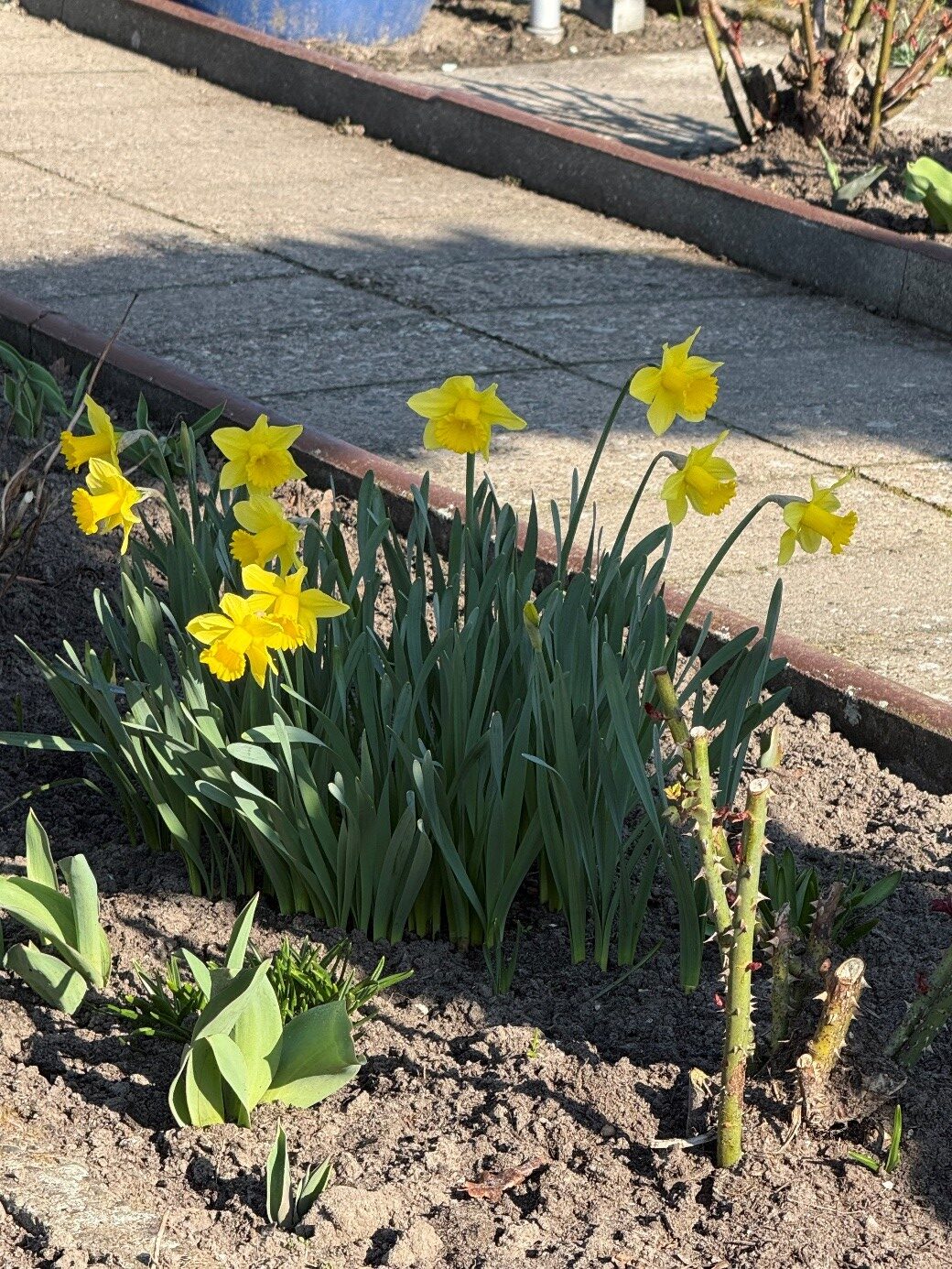 Mehr über den Artikel erfahren Fuchsklasse   Februar-März 2026