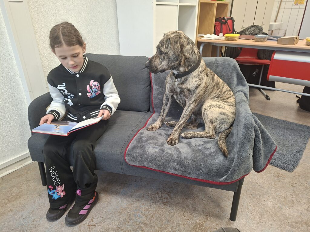 Lesen mit Lule!